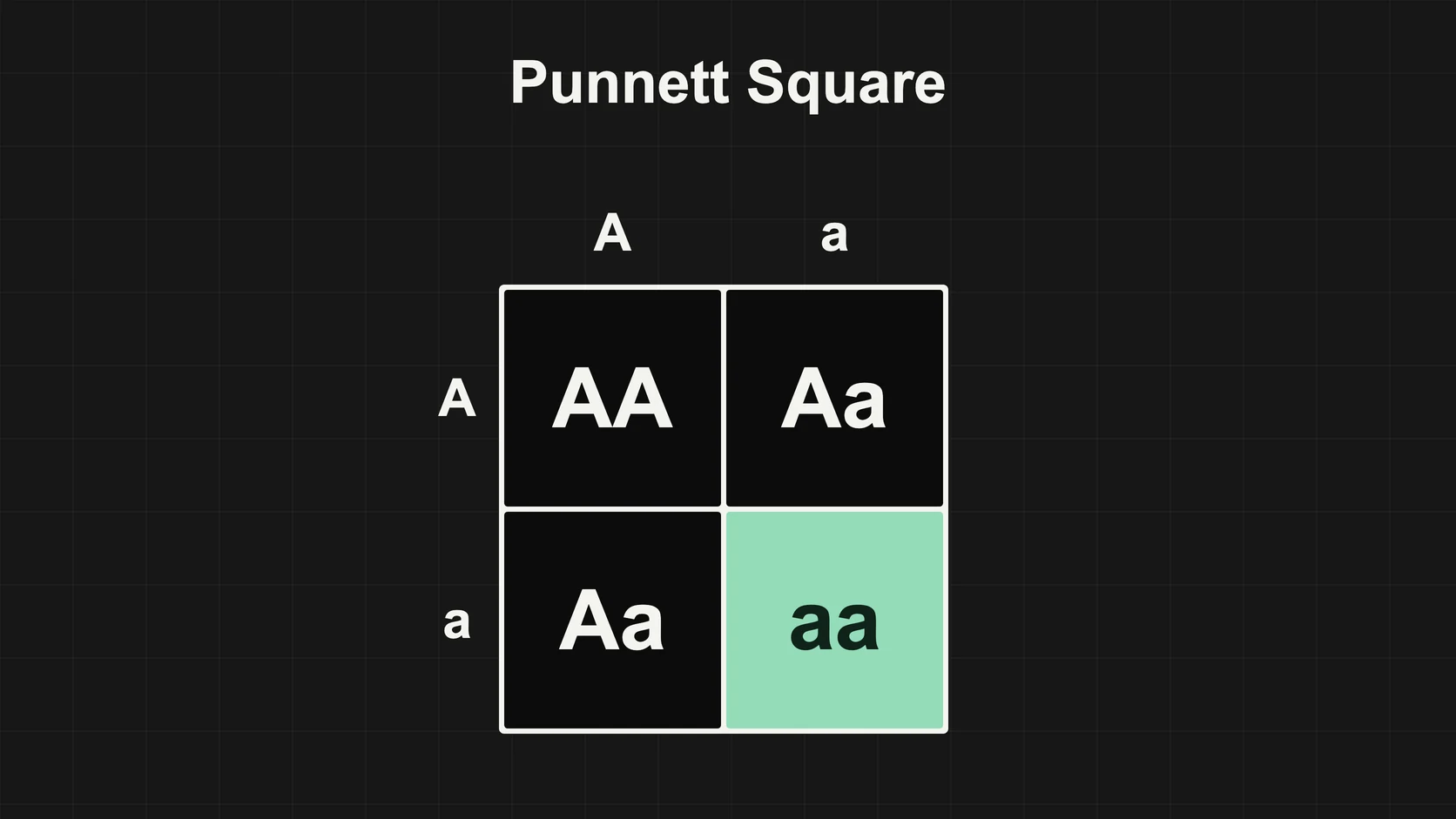 Punnett square for a cross between two heterozygous carriers, yielding AA, Aa, Aa, and aa